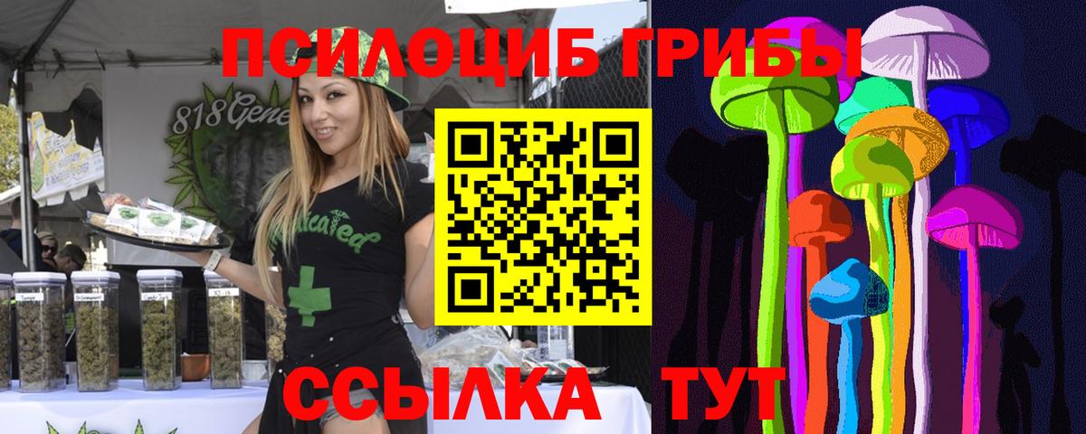 Галлюциногенные грибы Psilocybe Ростов Великий