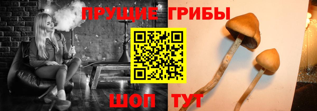 Галлюциногенные грибы мухоморы  Псилоцибиновые грибы Psilocybine cubensis  Ростов Великий  Вход с VPN 